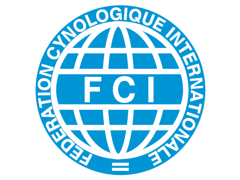 Home — FCI Agility World Championship 2021